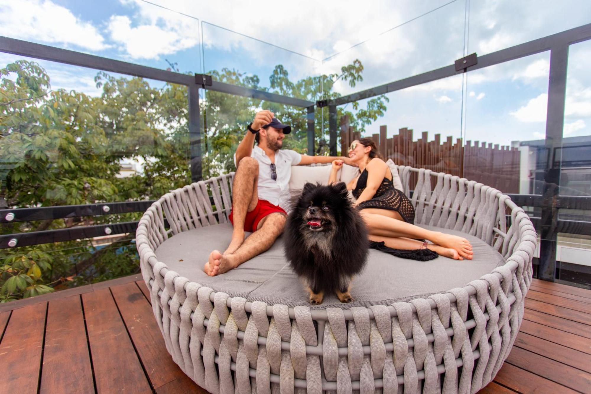 Serenity Hotel Boutique By Alsol Playa del Carmen Eksteriør billede